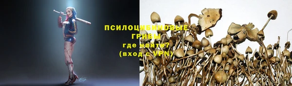 каннабис Нефтекумск