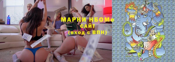 шишки Галич