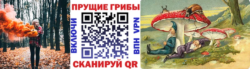 где купить наркоту  Нижний Ломов  Галлюциногенные грибы Psilocybe 